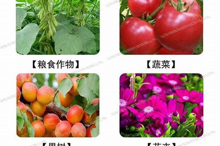 陕西天坑发现天然石元宵,这种石珠有观赏价值吗？