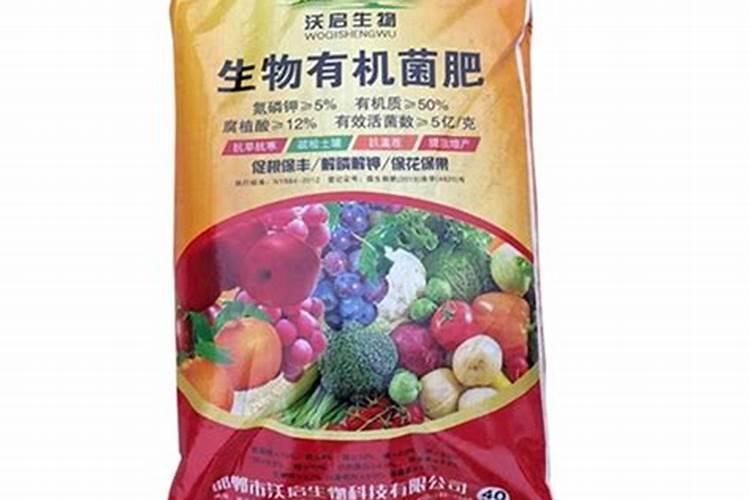 青枣病虫害防治技术与方法措施
