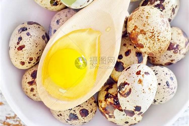 鹌鹑蛋能做花肥吗 鹌鹑蛋能否做花卉的肥料呢