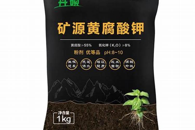 蕃茄开花肘需要加什么肥