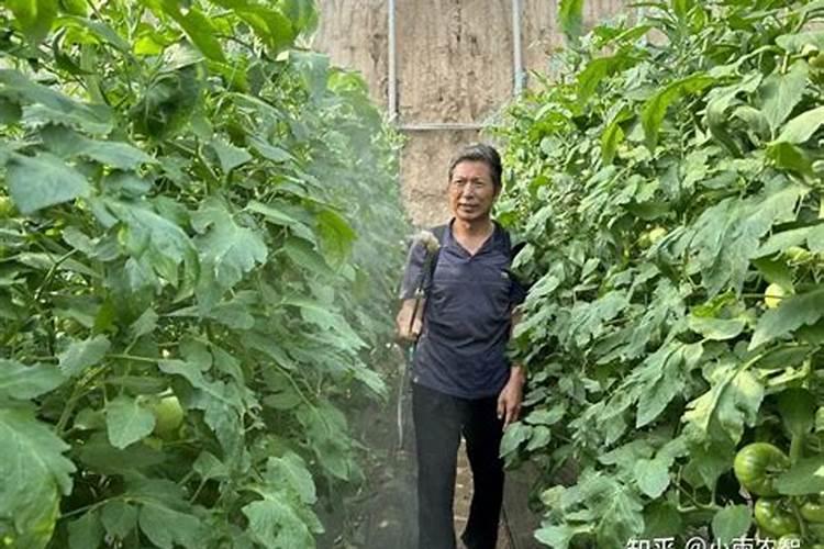 脐腐病除补钙,还有其它办法吗？