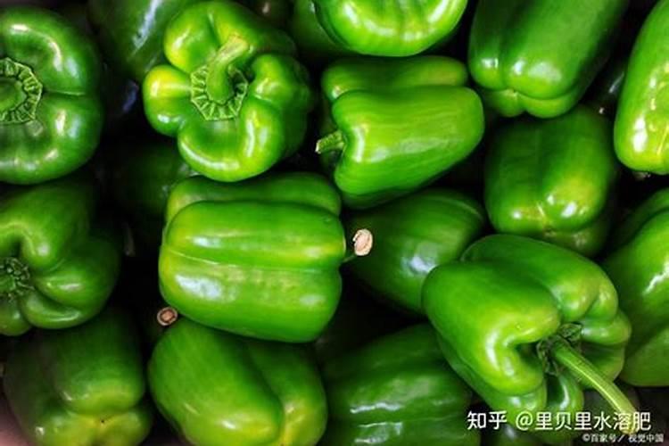 如何鉴别磷肥,钾肥,氮肥