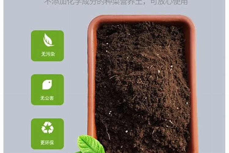 固体钙和液体钙的区别