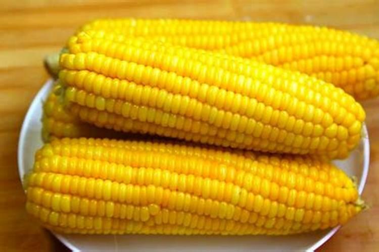玉米专用肥的最佳配方