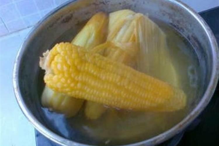 兰草花用什么肥料最好