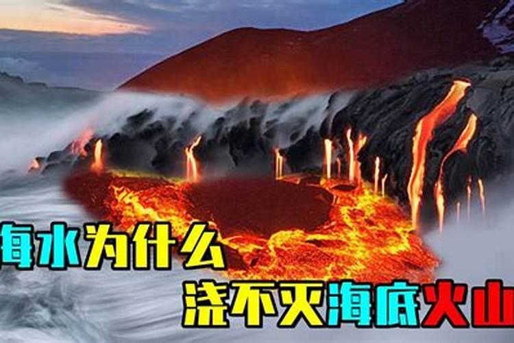 养多肉常用的3种肥料