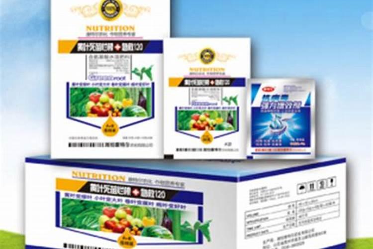 树苗烂根立枯用什么叶面肥好