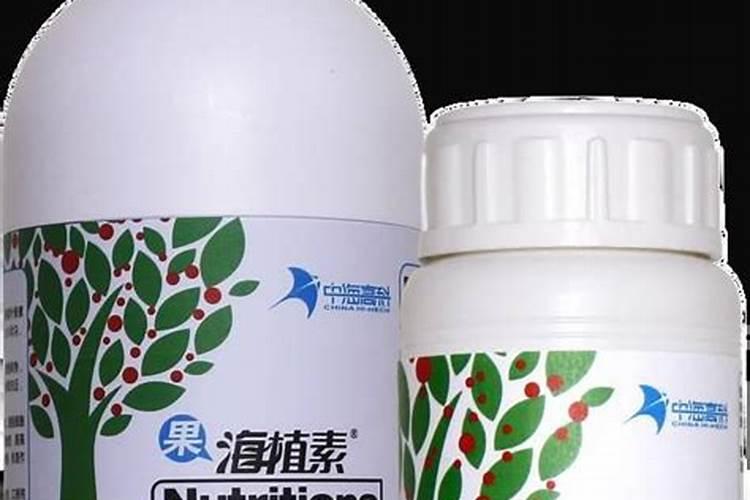 西葫芦高产使用鱼蛋白肥好不好