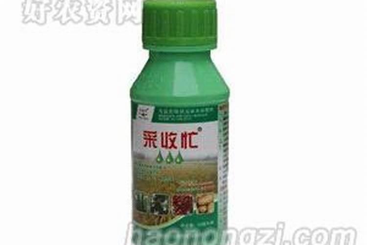 樱桃采摘后施什么肥料好
