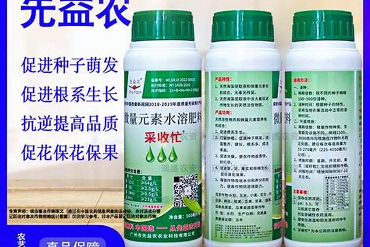 叶面肥什么时候打效果好