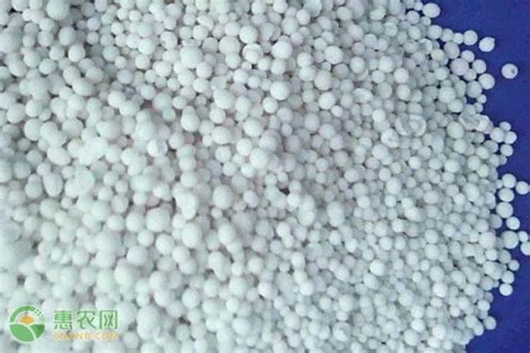 香瓜高产施肥技巧注意什么 香瓜应该怎么养殖