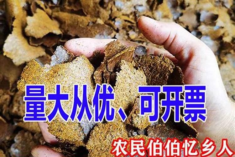 菜籽饼能不能直接拌土做基肥