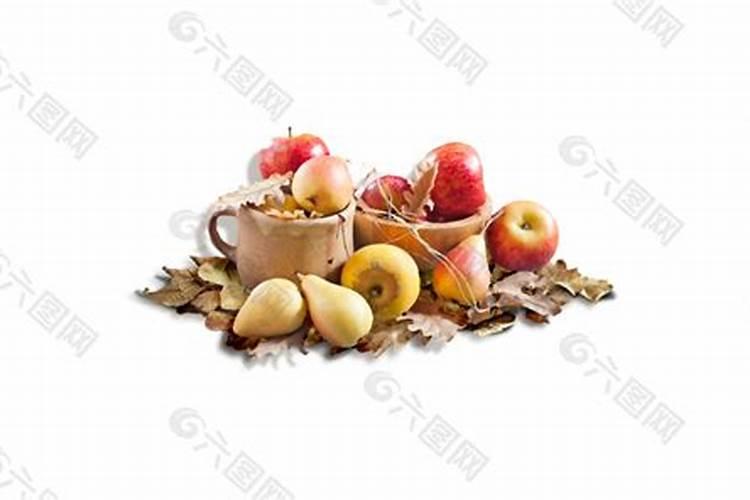 小树苗用什么肥料长得快