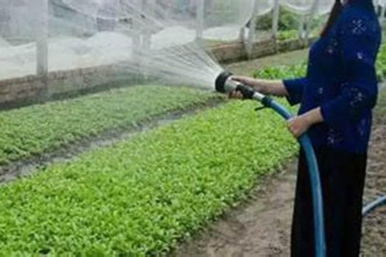 家常怎么生黄豆芽 黄豆芽的步骤讲解