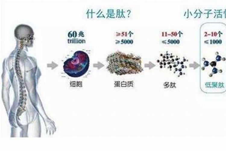 自制花肥加点料,不发臭不招虫,养花必备