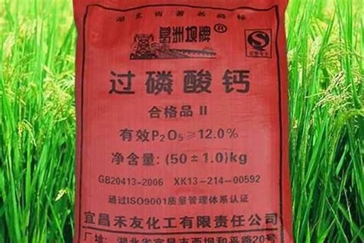 磷肥怎样使用才是正确 磷肥的使用方式