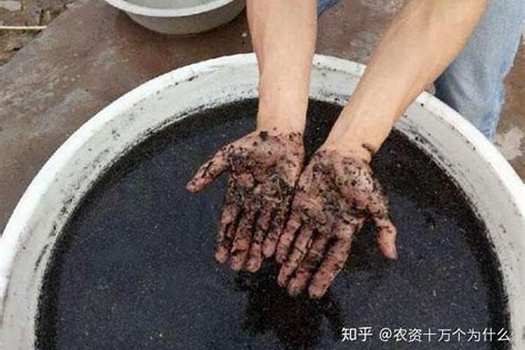 草木灰怎么施肥最好