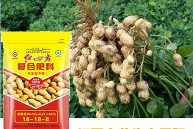 牛肉膏蛋白胨培养基配方是什么？