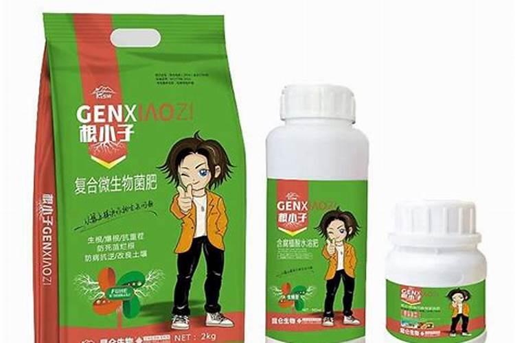 用什么肥料使植物在发芽期长得又粗又壮