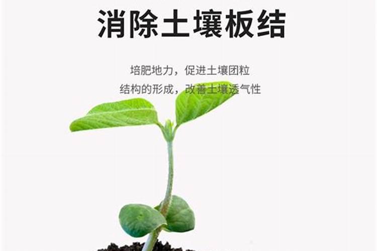 钾肥的作用是什么 钾肥有哪些种类