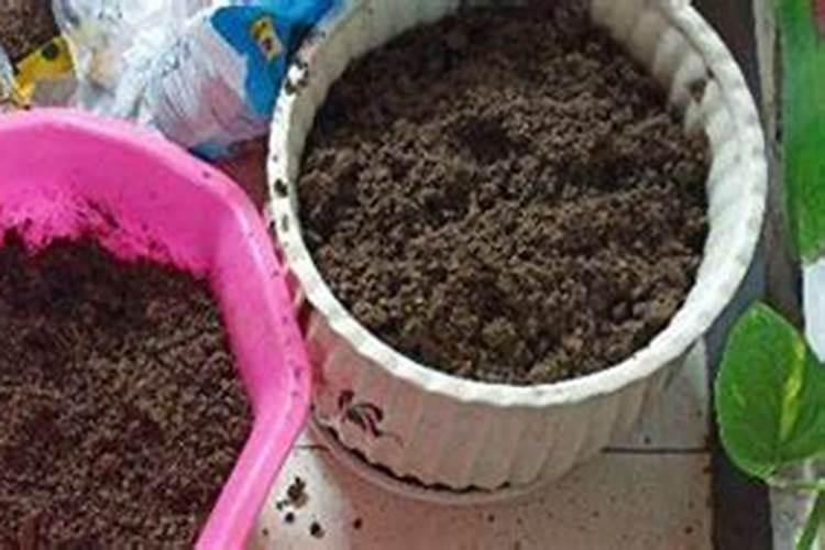 什么肥料可以让土壤快速松软