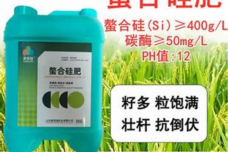 青岛欧赛斯肥业有限公司怎么样？