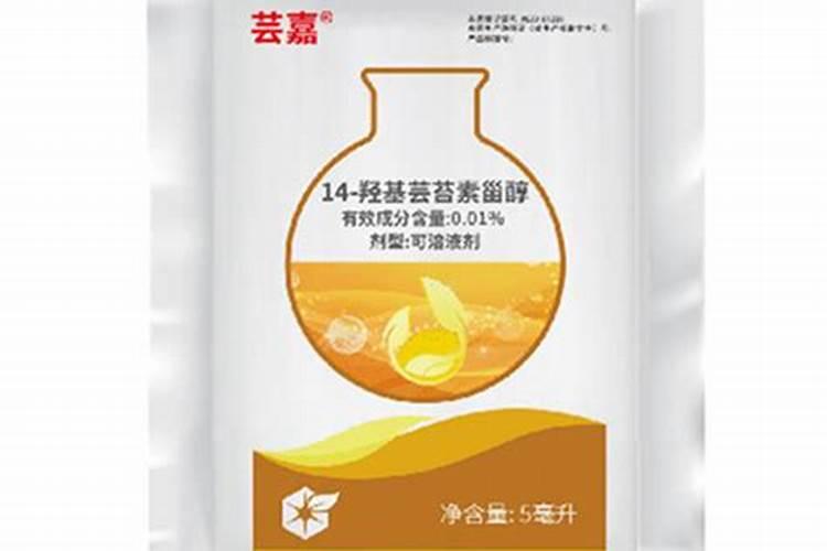 罗汉松多久施一次肥 施肥时间和方法