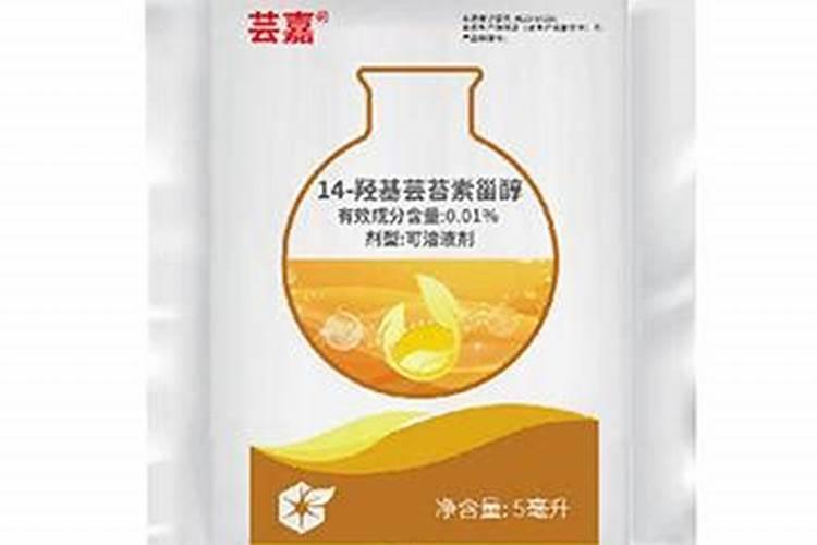 芸苔素内脂用于辣椒效果好吗？
