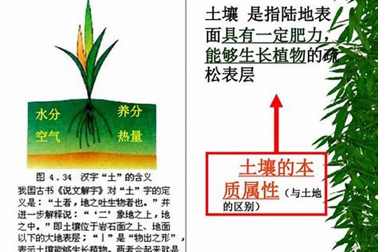 有机肥,复合肥,化肥的三者有什么区别