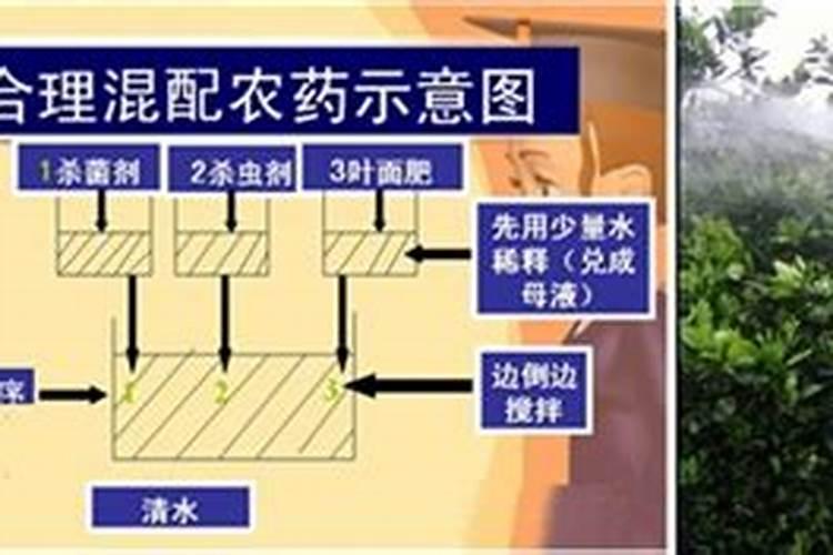 影响叶面肥吸收的因素有哪些？ 10%吡虫啉吸式口器害虫专业杀蚜剂百度知...