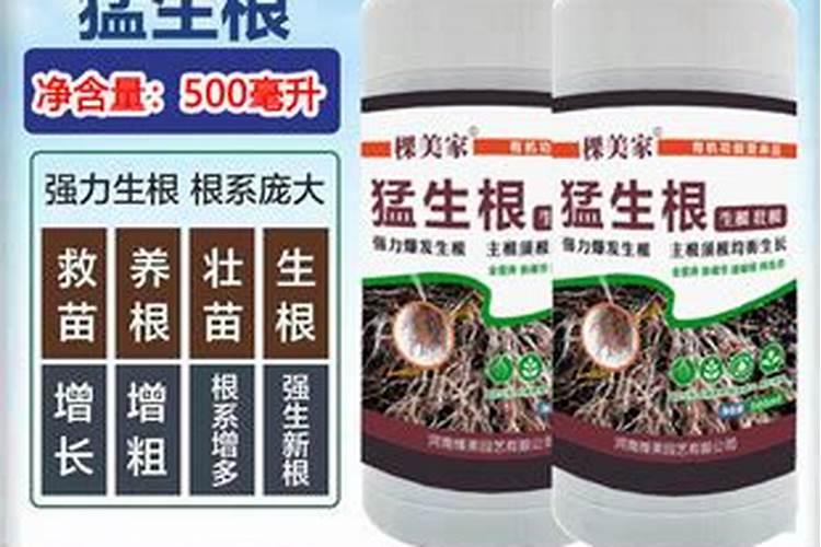 生根肥使用过程中应注意什么