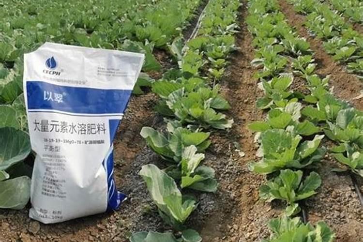 高钾水溶肥什么时候用,在地里几小时见效