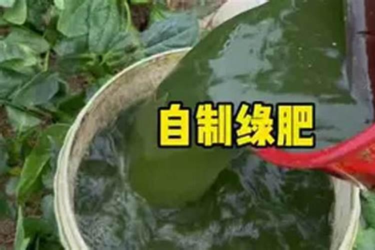复合肥的正确使用方法浇菜