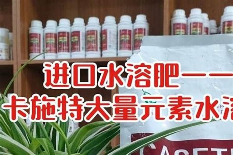 种谷子用什么复合肥好 施肥注意事项有哪些