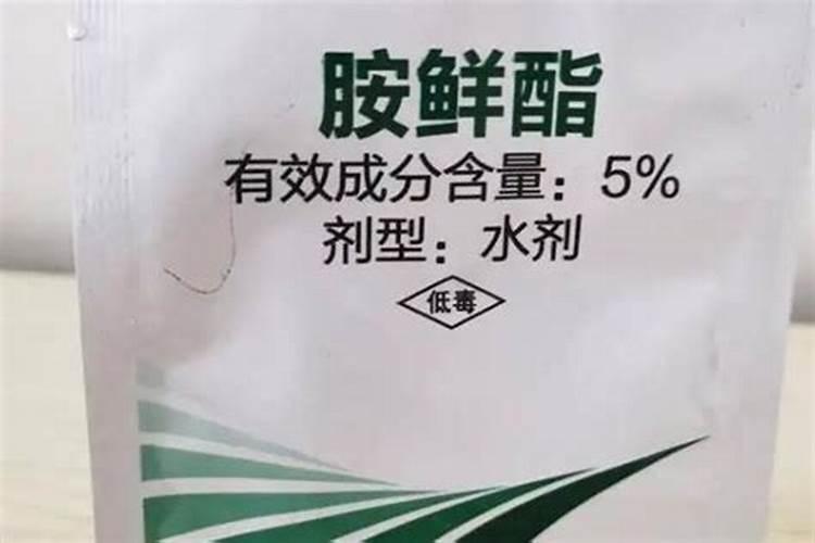 苹果适合在哪个月份去吃？