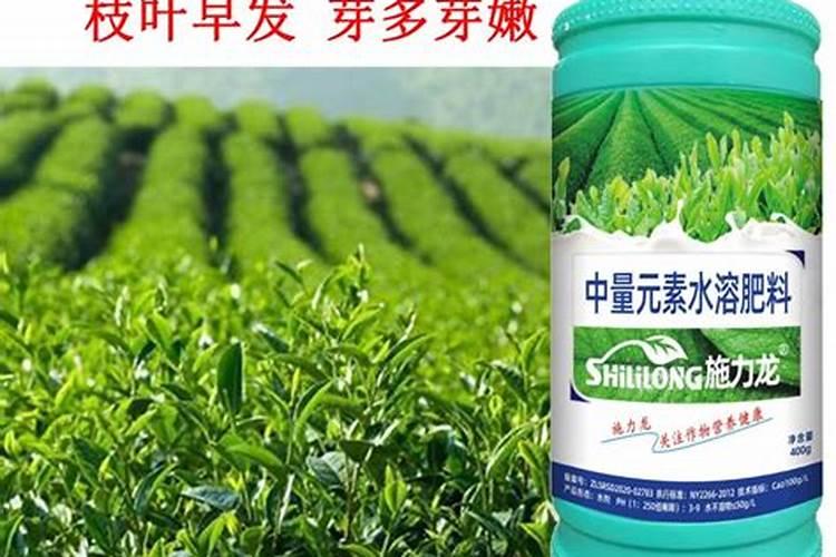 茶叶催芽肥有哪些？
