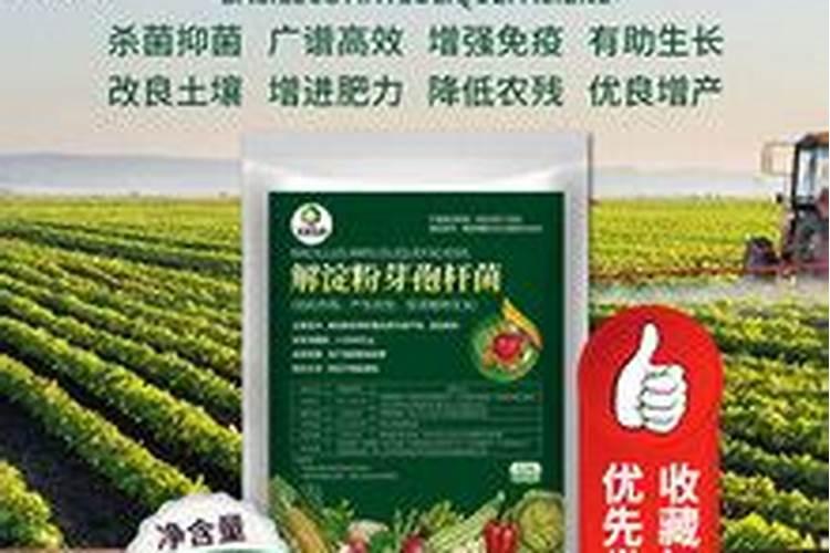 em菌厂家有哪些？