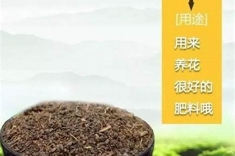 茶枯能做肥料吗？