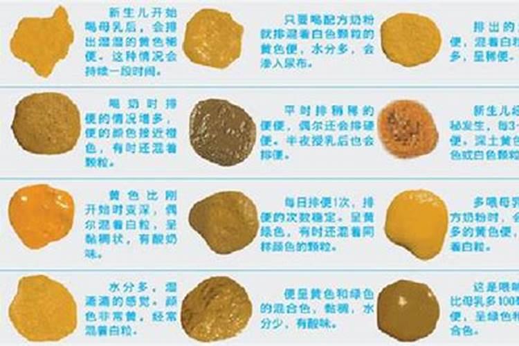 果树土壤施肥的方法有哪些