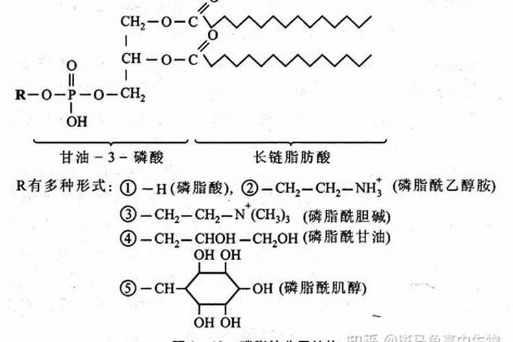 什么是氮肥磷肥钾肥复合肥