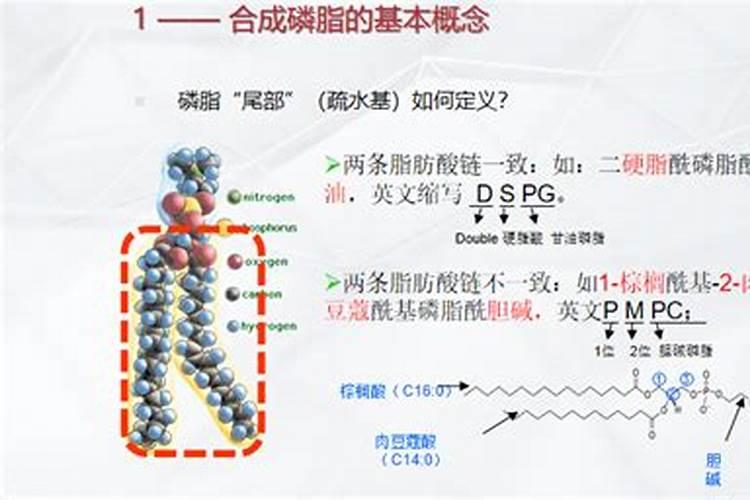 磷肥对果树的作用是什么？