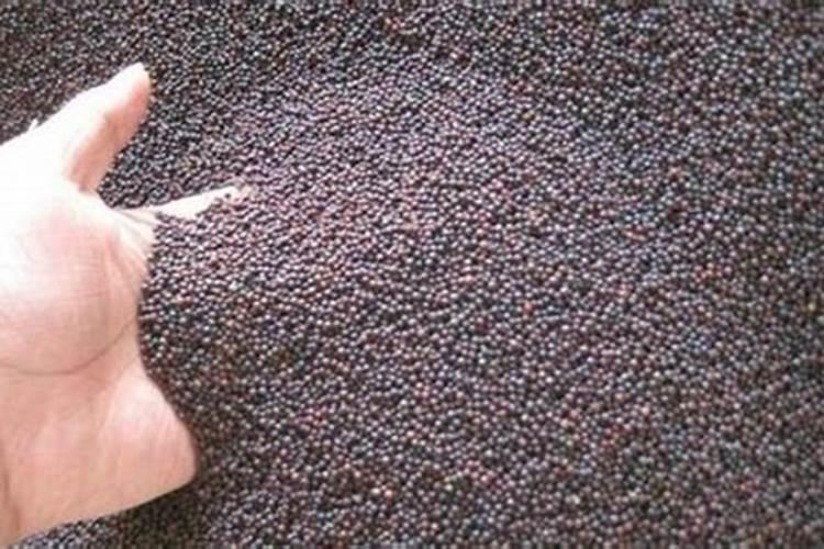 硅肥的施用范围？