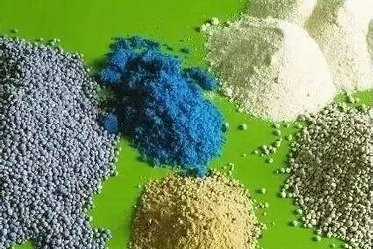 果树用什么肥料最好
