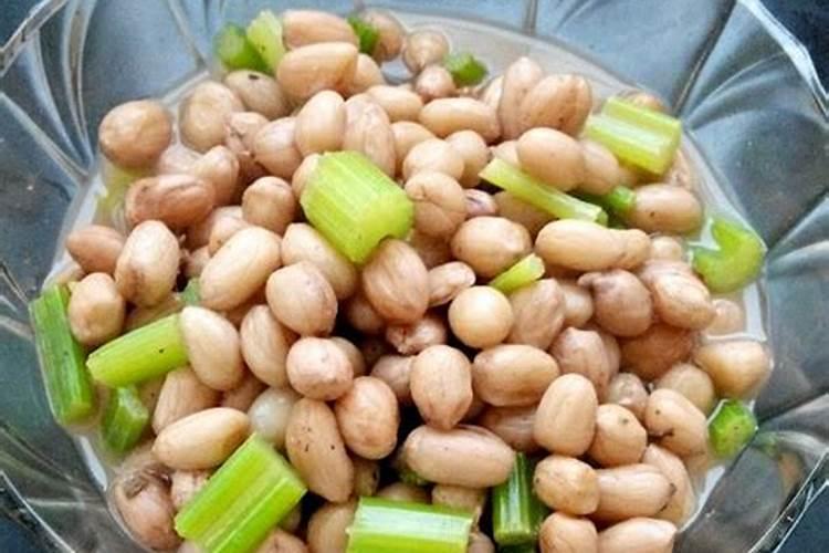 兰花用什么肥料好？