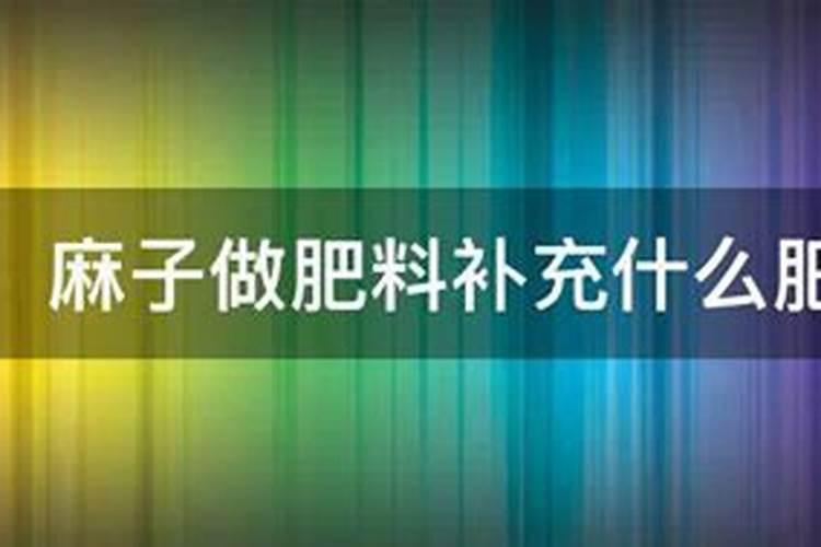 君子兰如何养