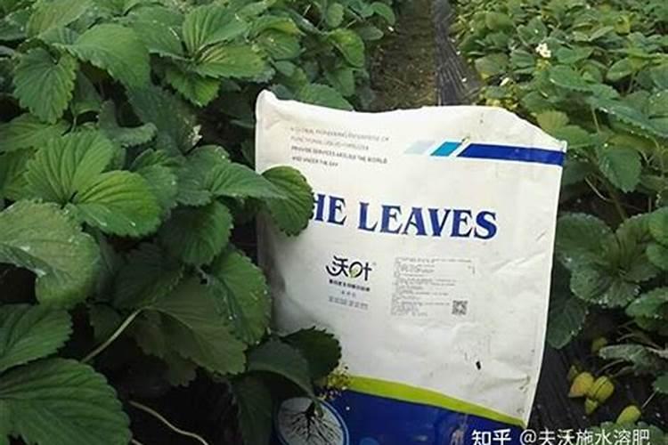 有机质高的水溶肥对作物有害吗