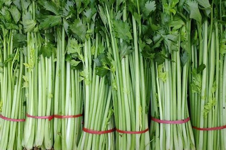 芹菜需要哪种肥料,该怎么施肥才能长好？