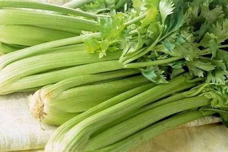 芹菜心叶变红色
