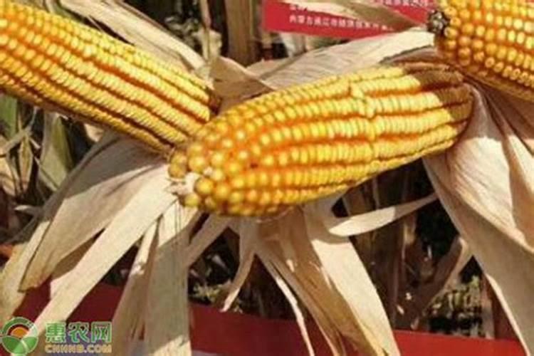 矿物源黄腐酸钾,矿源黄腐酸钾有什么作用,黄腐酸钾能长期使用吗