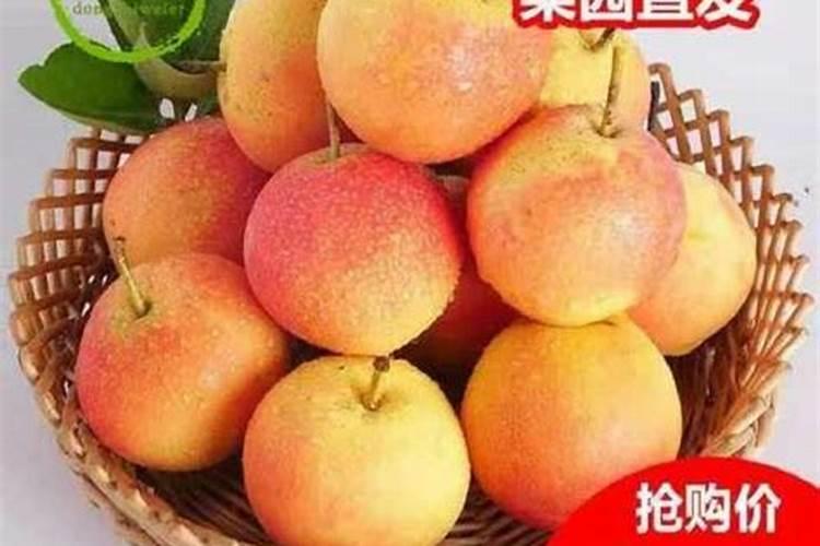 掺混肥十大排名